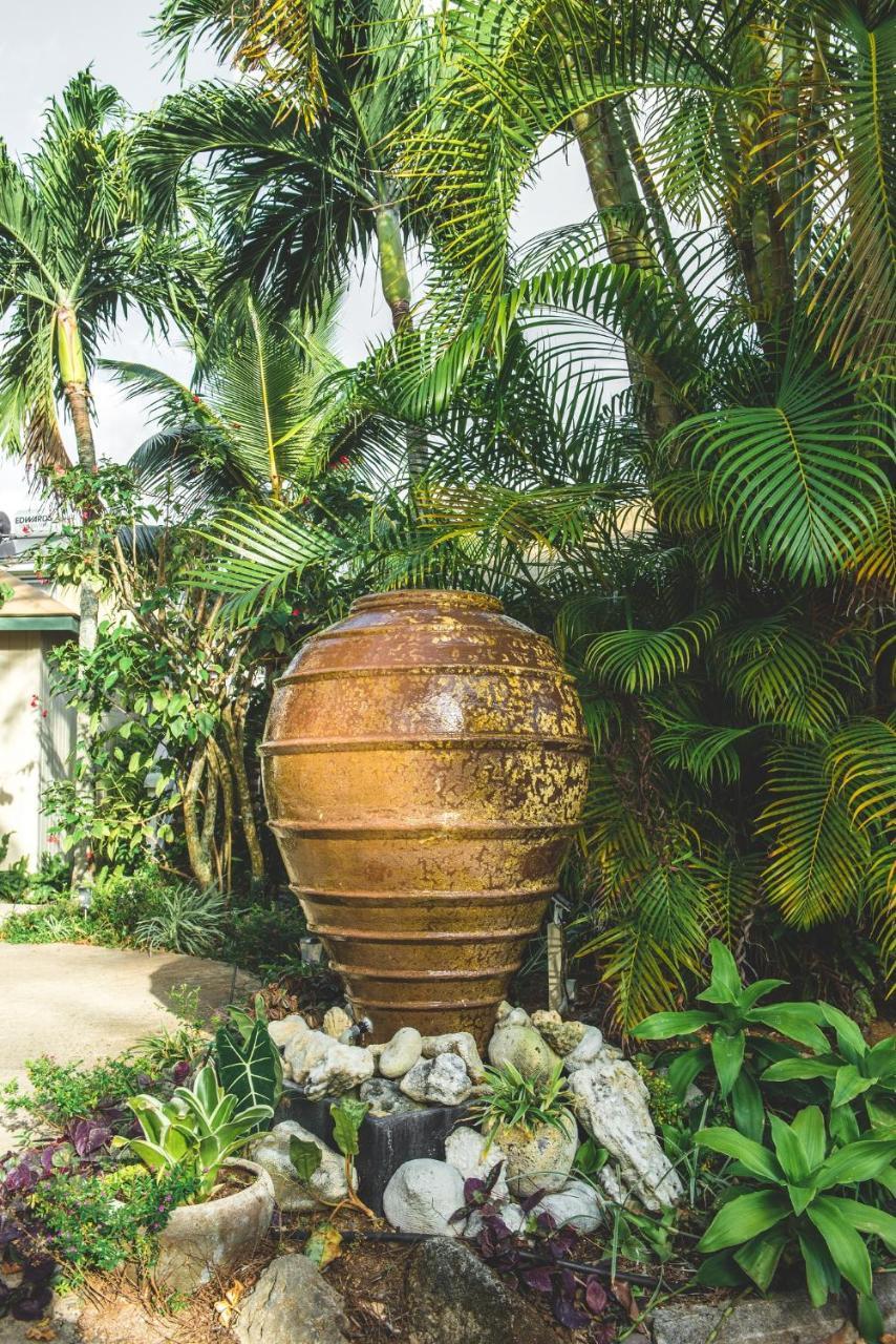 The Cooks Oasis Lägenhet Rarotonga Exteriör bild